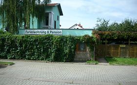 Stepponat Arnstadt